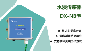 水浸传感器DX-NB型